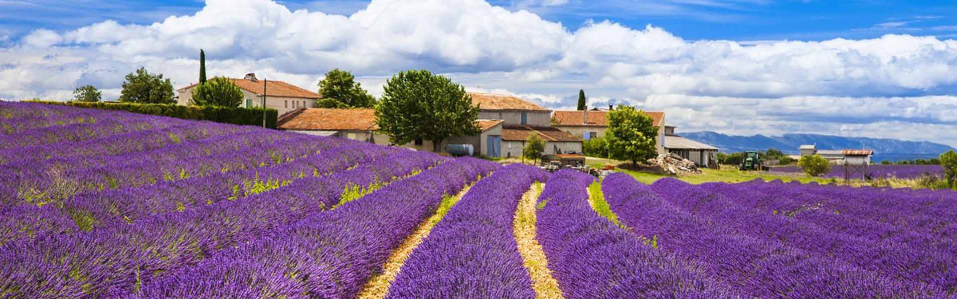 Flights Direct NZ - Cheap Flights To Provence